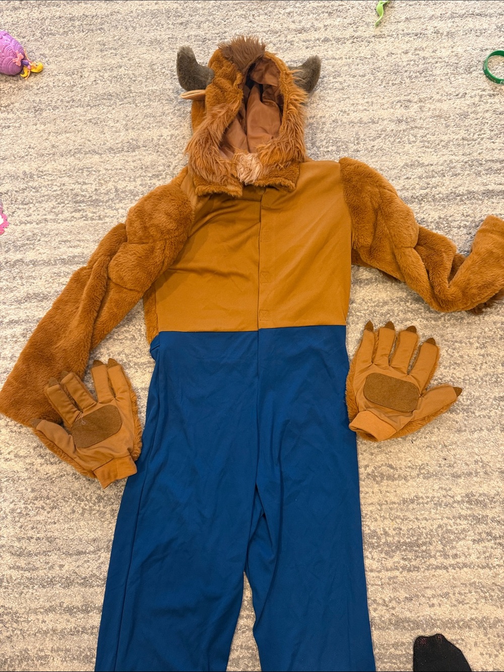 Beauty and the Beast Costume with Hood and Gloves